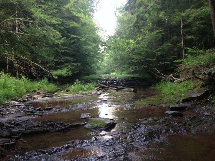 Gîte pour 4 personnes, avec terrasse, animaux acceptés