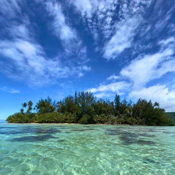 Location de vacances pour 2 personnes, avec jardin dans Mataiea - 2