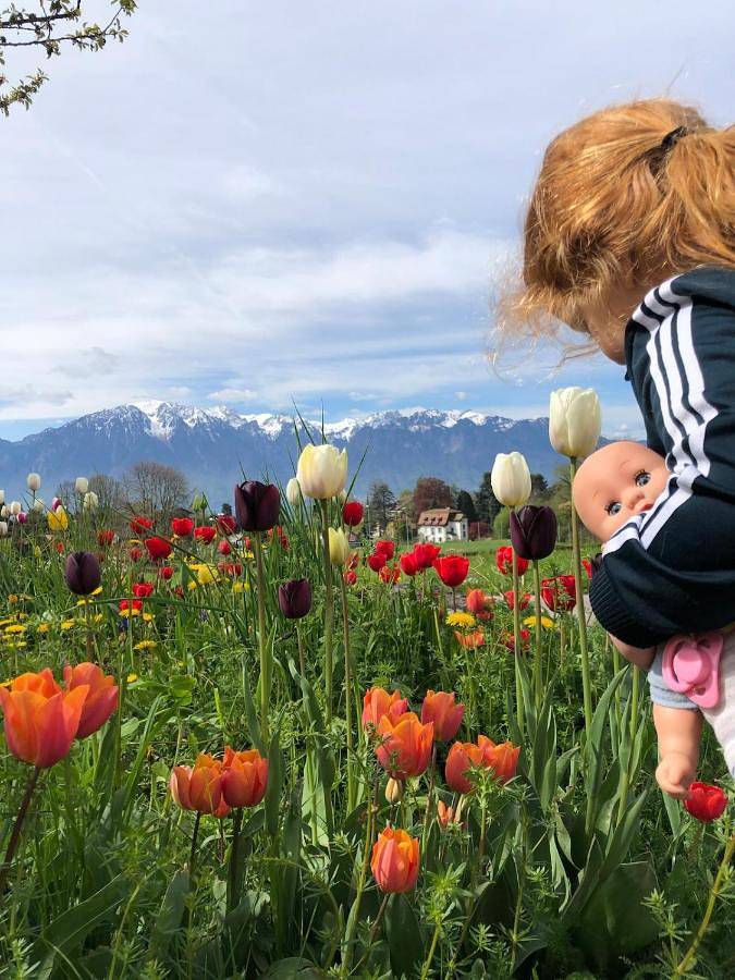 Gîte pour 5 personnes, avec terrasse, animaux acceptés à Blonay
