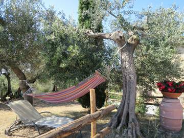 Ferienhaus für 20 Personen in Piegaro, Perugia Provinz, Bild 2