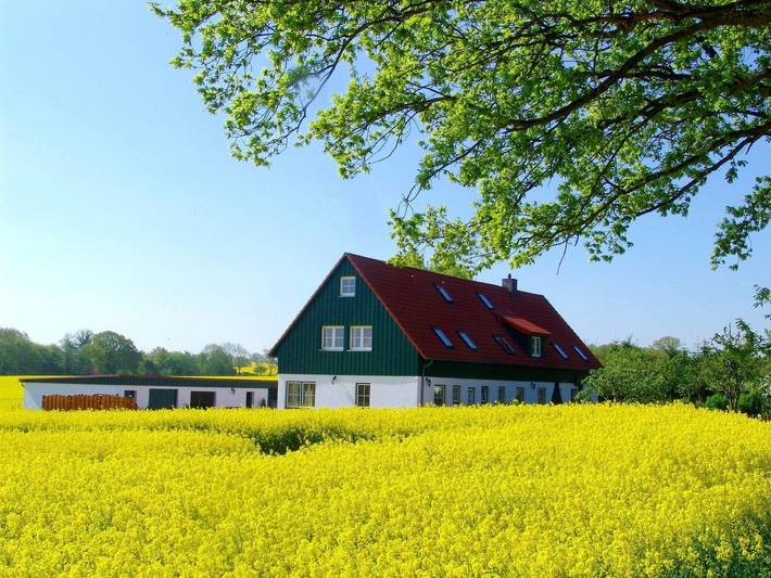 Ferienwohnung für 5 Personen, mit Garten und Sauna sowie Terrasse in Wangels - 2