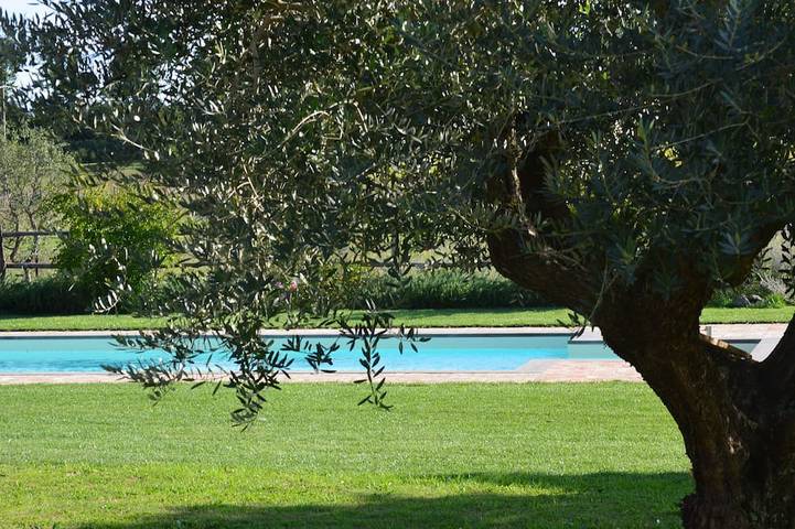 Maison de vacances pour 4 personnes, avec jardin ainsi que piscine et terrasse, animaux acceptés - 1