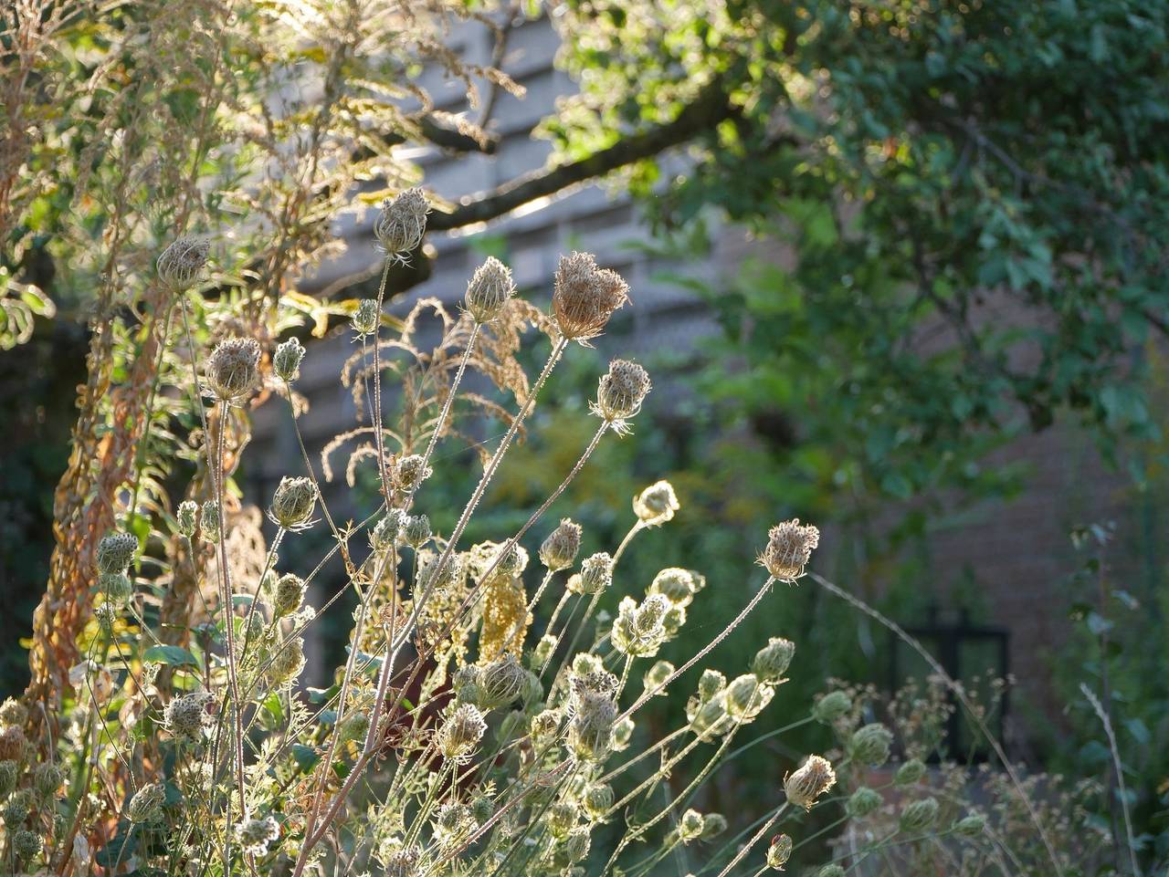 Ganze Ferienwohnung, Zum Hühnerheisel - Appartement/Fewo, Bad, Wc, 1 Schlafraum in Ilbesheim bei Landau in der Pfalz, Südliche Weinstraße
