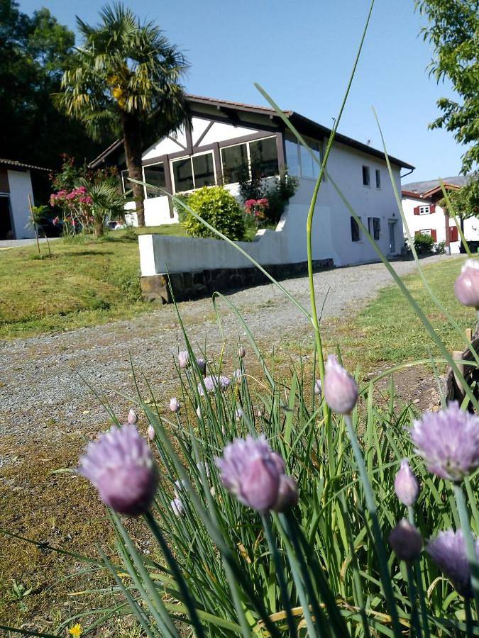 Two-Bedroom House in Ossès, Région de Bayonne