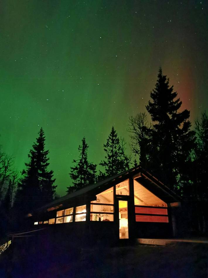 Feriehus for 6 personer, med terrasse, dyr tillatt i Innlandet