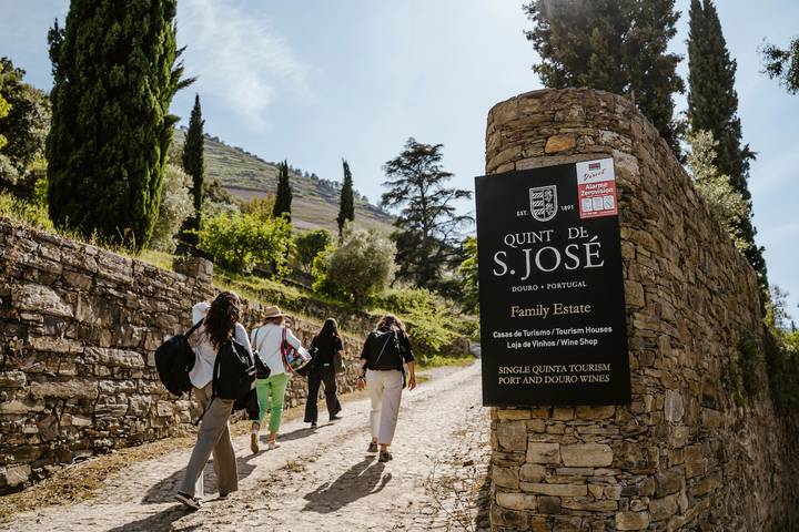 Entire apartment, Apartment 'Suite Castanha' with Shared Pool, Wi-Fi and Air Conditioning in Ervedosa do Douro, Douro Valley