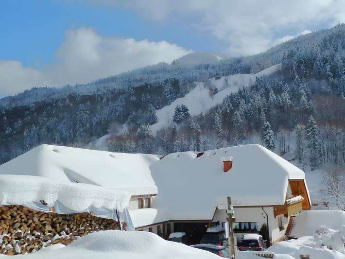 Ferienwohnung für 4 Personen, mit Balkon in Todtnau - 4