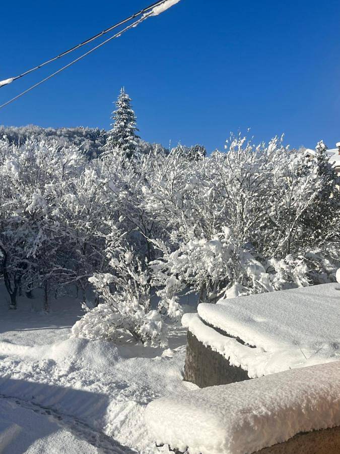Gîte pour 4 personnes, avec jardin et vue, animaux acceptés à Borgo San Dalmazzo - 3