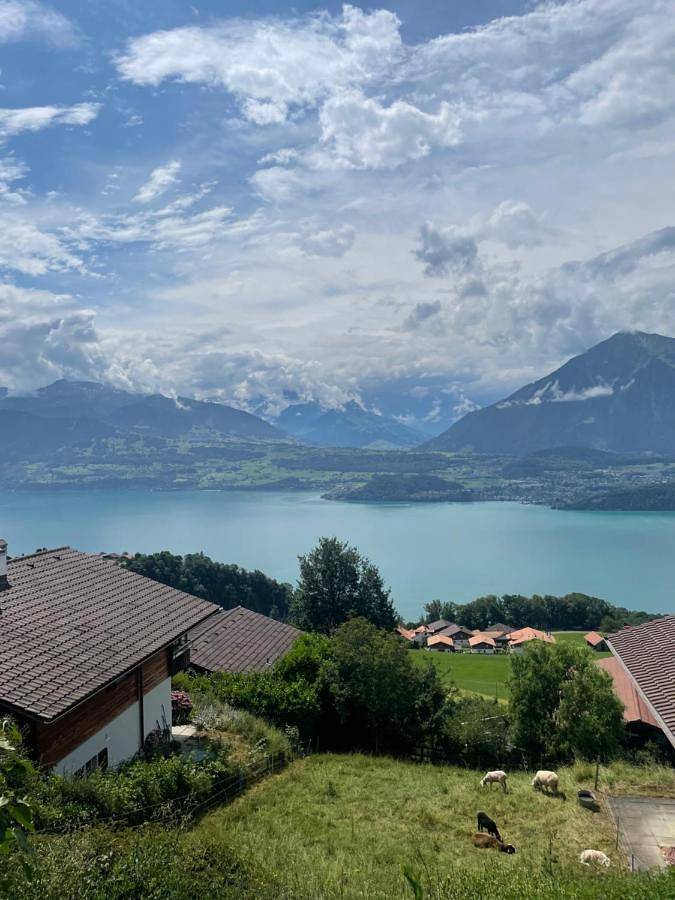 Gîte pour 3 personnes, avec vue ainsi que vue sur le lac et jardin, animaux acceptés à Sigriswil - 2