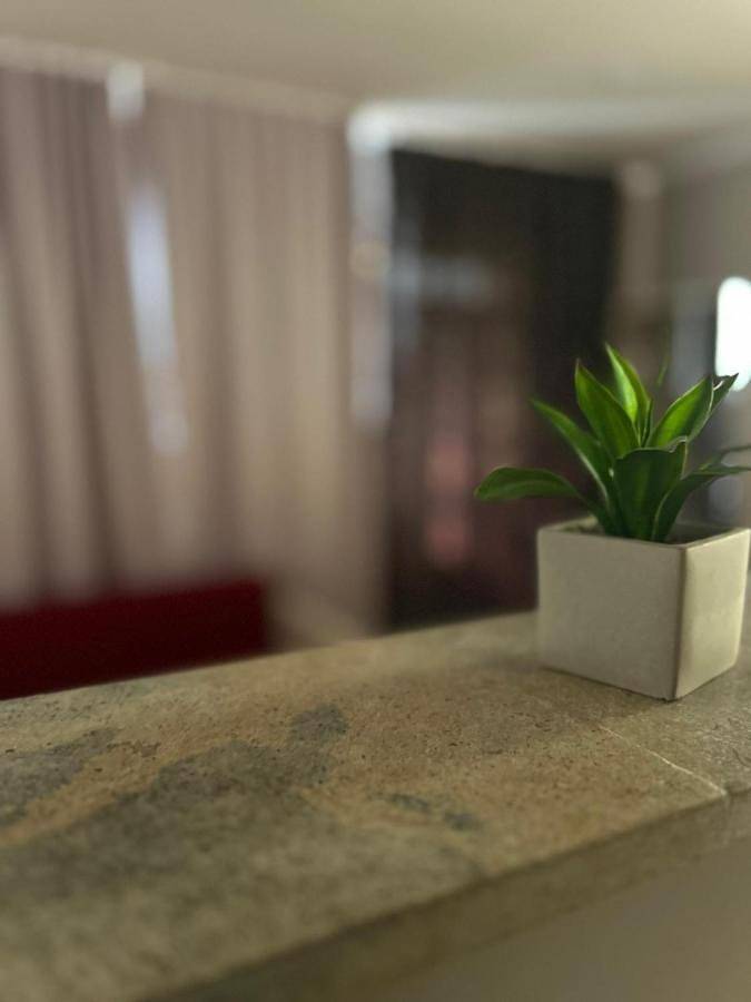 Gîte pour 6 personnes, avec terrasse dans Cluj-Napoca - 4