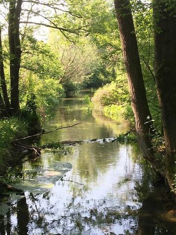 Ferienhaus für 3 Personen in Bad Füssing, Ostbayern, Bild 3