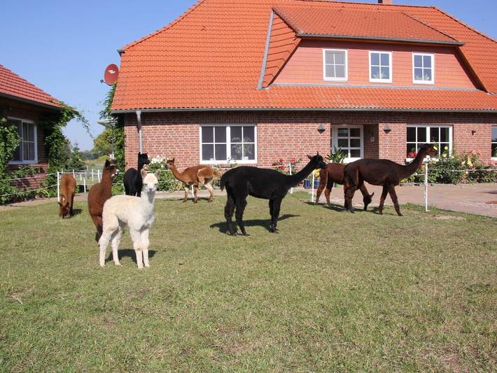Gemütliche Ferienwohnung mit Küche in der Nähe des Thurower Sees – inklusive Ausstattungsmerkmale in Carpin, Mecklenburg-Strelitz