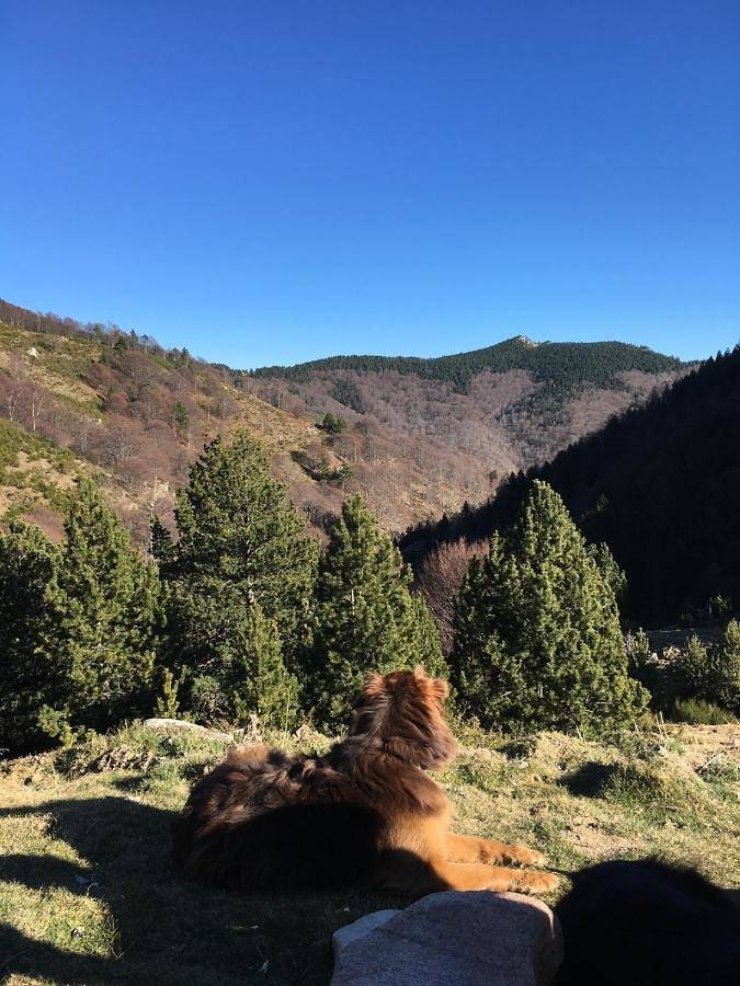Hôtel pour 3 personnes, avec terrasse et vue, animaux acceptés à Prats-de-Mollo-la-Preste - 3