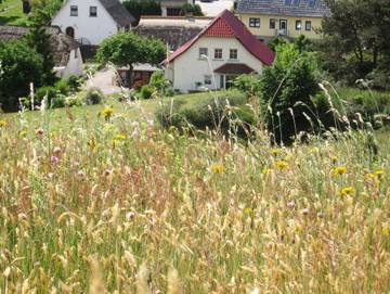 Ferienwohnung für 2 Personen in Mönchgut, Rügen, Bild 1