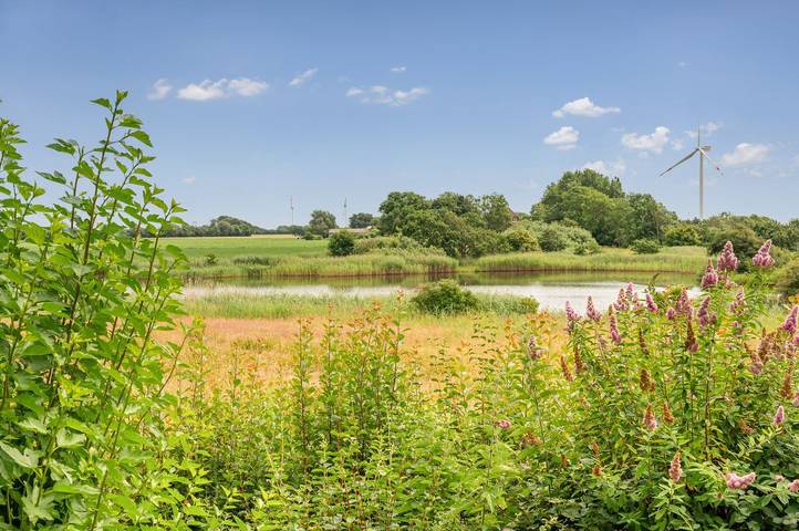 Ferienhaus Haus am See in Emmelsbüll-Horsbüll für bis zu 4 Personen in Emmelsbüll-Horsbüll, Nordfriesland