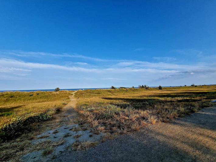 Ferienhaus für 10 Personen, mit Terrasse und Whirlpool sowie Sauna, kinderfreundlich auf Seeland - 2