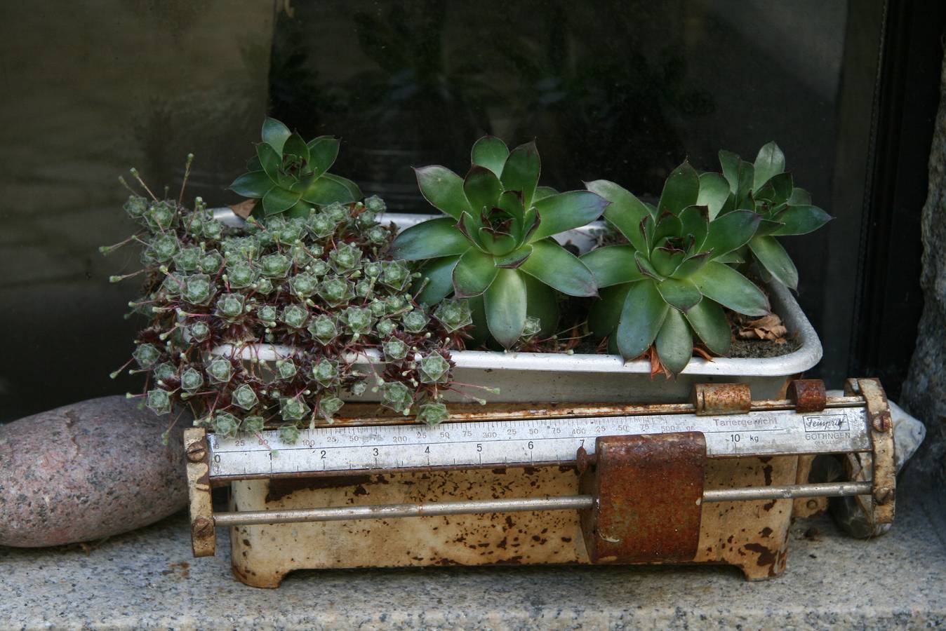 Ferienwohnung Dieter Popp - Große Ferienwohnung (60qm) in gemütlicher Lage in Münchberg, Landkreis Hof