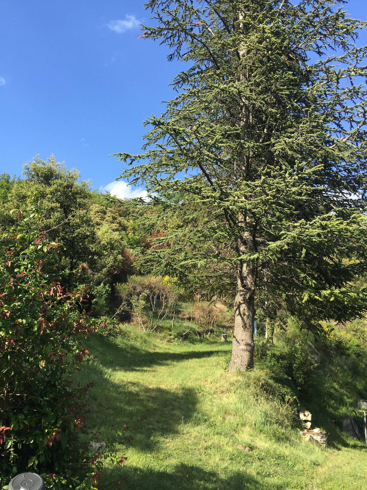 Prana Campane in Bourg-Saint-Andéol, Privas (arrondissement)