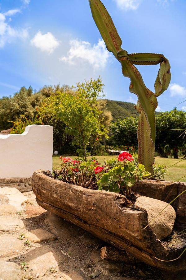Casa rural para 3 personas, con Terraza y Jardín además de Piscina y Vistas en Casares - 4