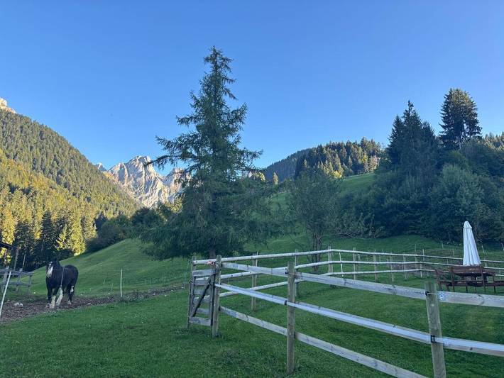 Chambre d’hôte pour 4 personnes, avec vue ainsi que jardin et terrasse à Château-d' Œx - 2