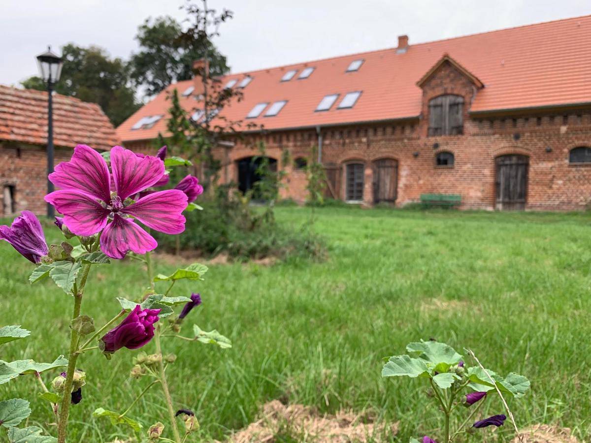 Ganze Wohnung, Ferienhof Weitblick in Groß Neuendorf, Letschin