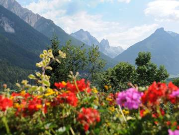 Ferienwohnung für 6 Personen in Stubaier Alpen, Fulpmes, Bild 2