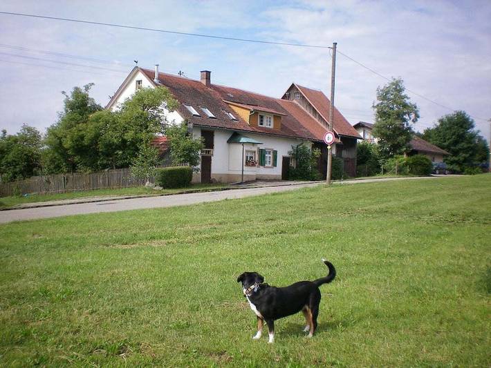 Ferienhaus mit 1 Schlafzimmer in Wutach, Südschwarzwald