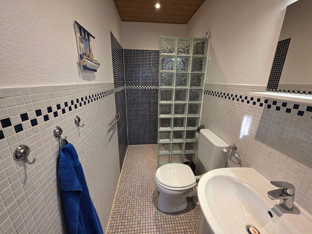 Ganze Ferienwohnung, Ferienwohnung Seedorf in Malchiner See, Dahmen