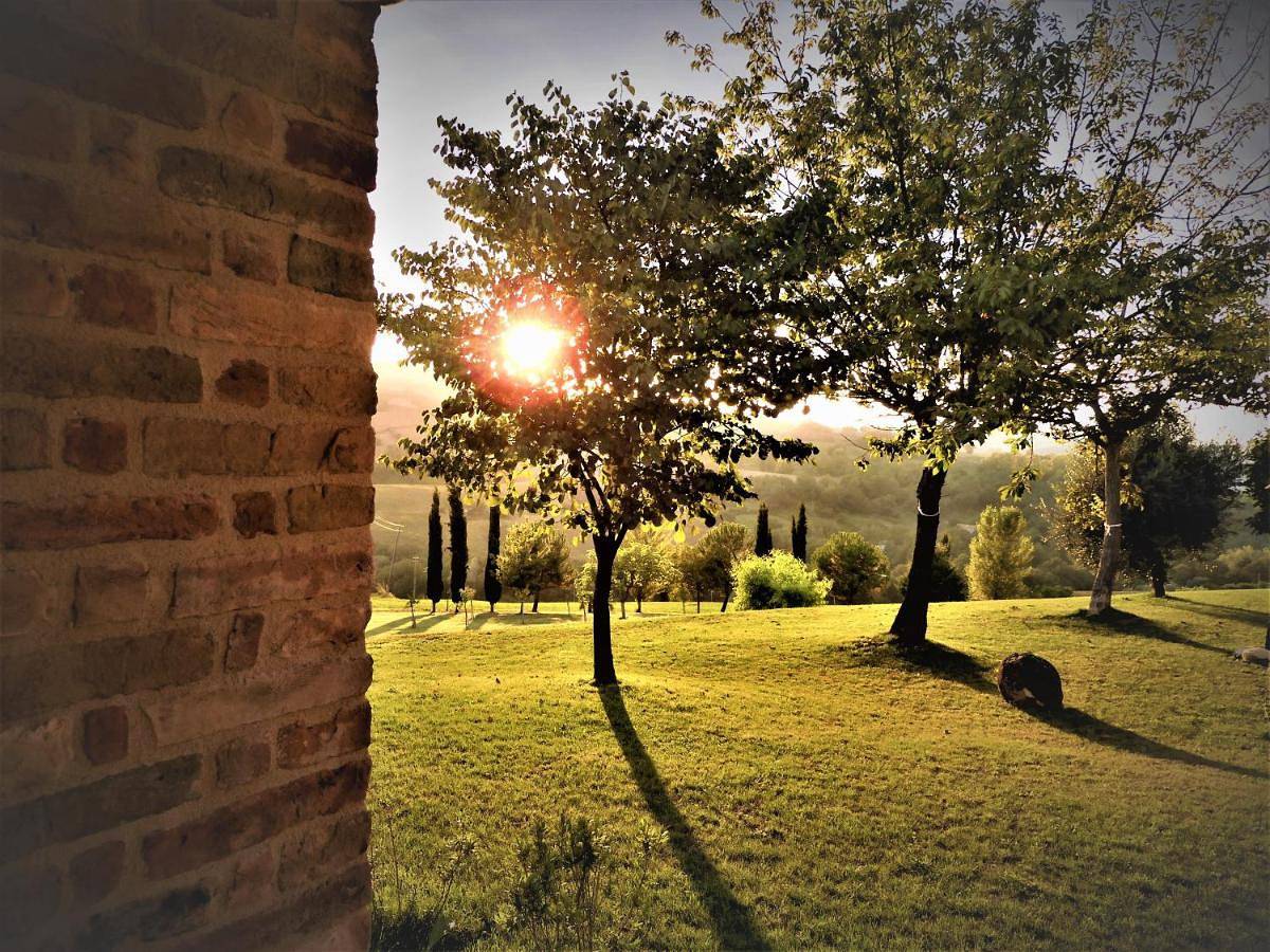 Quelli del Picchio in Cupramontana, Provincia di Ancona