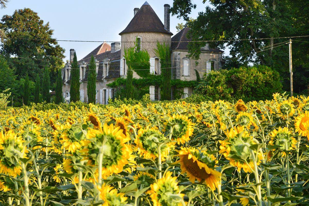 Chateau Guygaudie in Saint-Martin-de-Ribérac, Périgord Vert