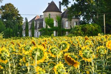 Cottage pour 12 personnes, avec jardin et terrasse à Saint-Martin-de-Ribérac