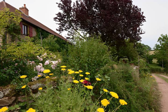 Chambre d’hôte pour 5 personnes, avec jardin en Bourgogne - 2