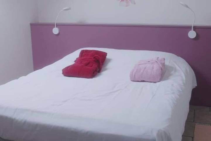 Gîte pour 3 personnes, avec jardin à Germigny-des-Prés - 4