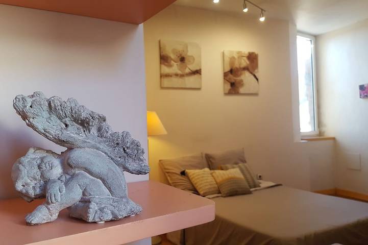 Ganze Wohnung, Hervorragender Triplex im Hyperzentrum von Rodez in Rodez, Aveyron