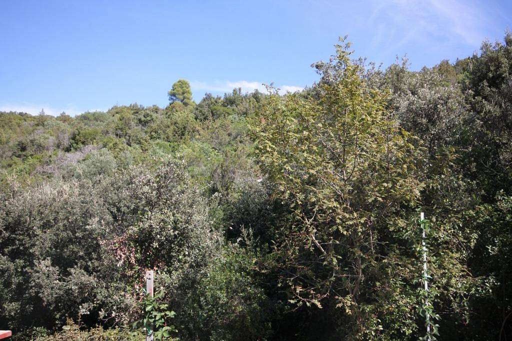 Appartement entier, Ferienwohnung in Basina mit Meerblick, Terrasse (3450-1) in Stari Grad, Hvar