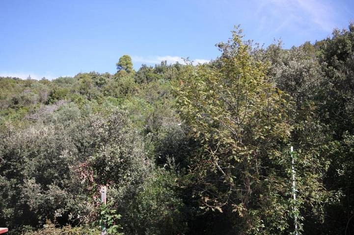 Gîte pour 3 personnes, avec terrasse dans Hvar - 3