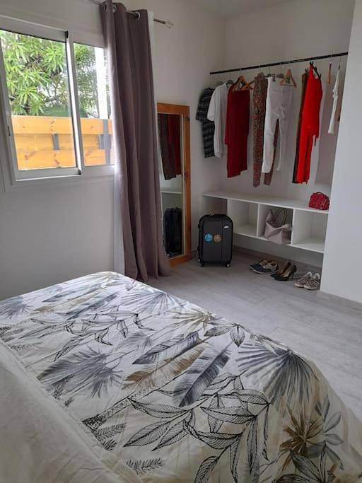 Gîte pour 2 personnes, avec jacuzzi et jardin dans Piton de la Fournaise - 4