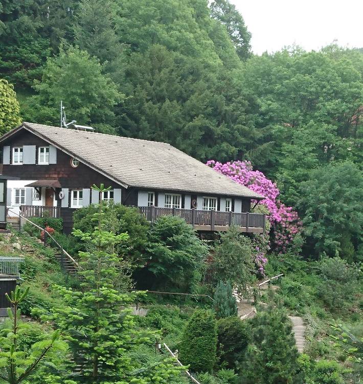 Location de vacances pour 4 personnes, avec jardin, animaux acceptés à Seebach (Ortenaukreis) - 4