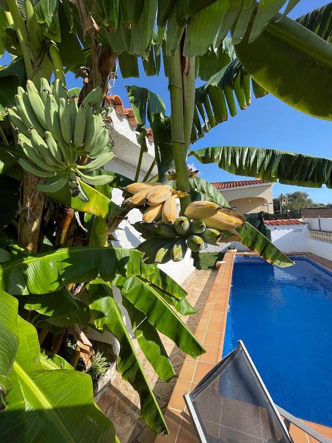 Four-Bedroom House in Vinaròs, Costa del Azahar