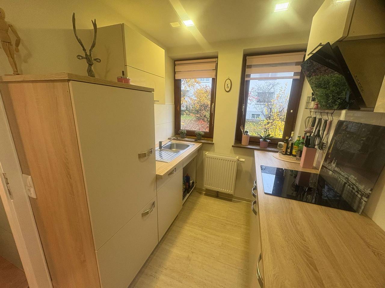 Ganze Wohnung, Wohnung Christine in Osterode, Harzvorland