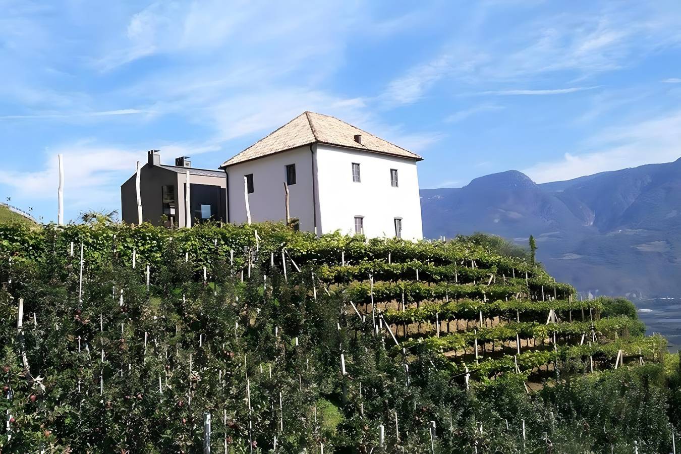 Ferienwohnung für 4 Personen in Lana, Ortleralpen