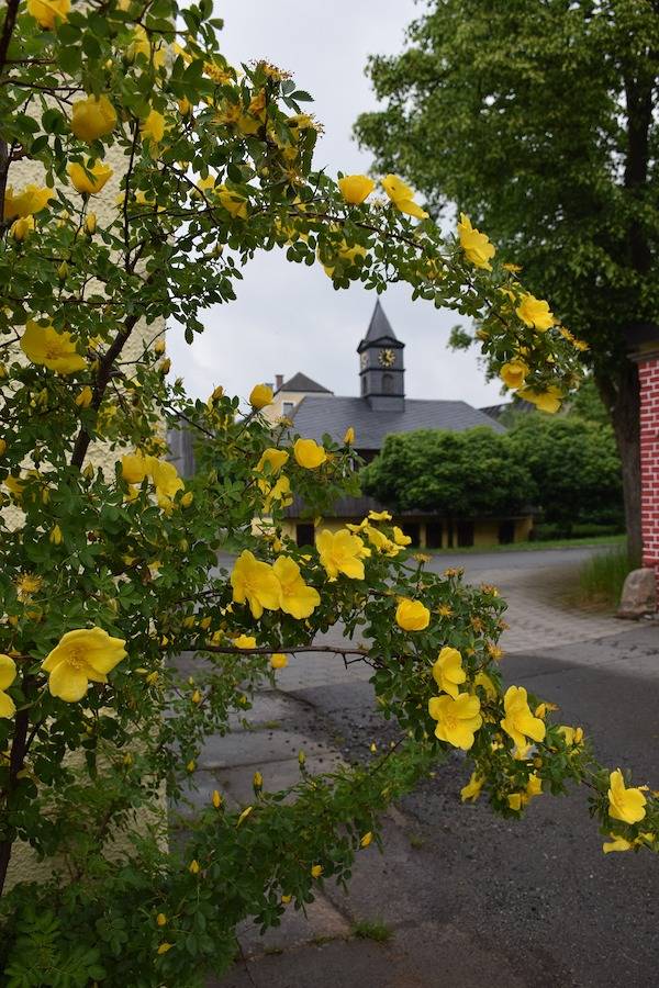 Bauernhof für 2 Personen, mit Garten im Fichtelgebirge - 4