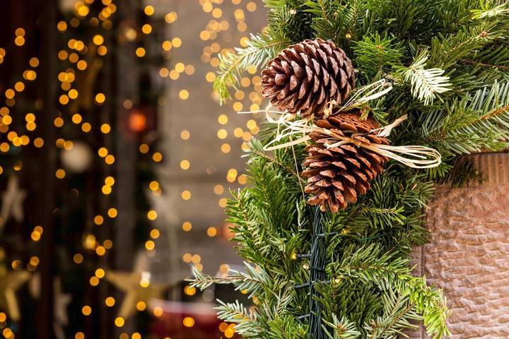 Hôtel pour 2 personnes, avec terrasse, animaux acceptés dans Office de Tourisme d'Obernai - 2