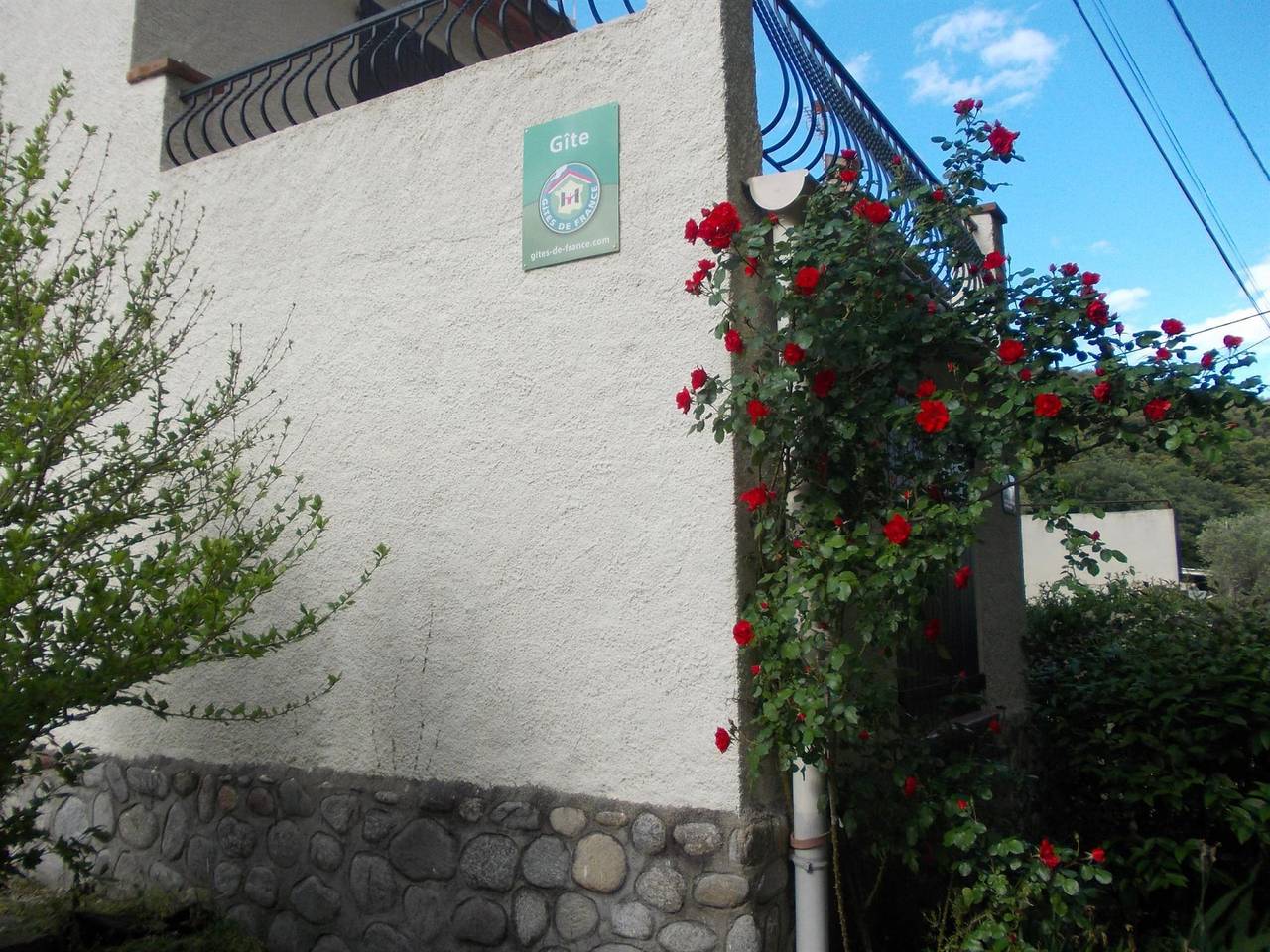 Les micocouliers in Amélie-les-Bains-Palalda, Région de Céret