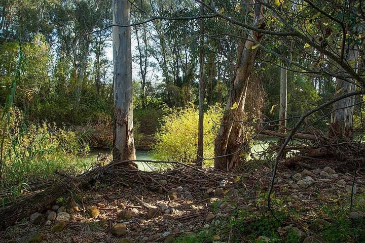 Location de vacances pour 12 personnes, avec jardin et piscine à Jimena de la Frontera - 3