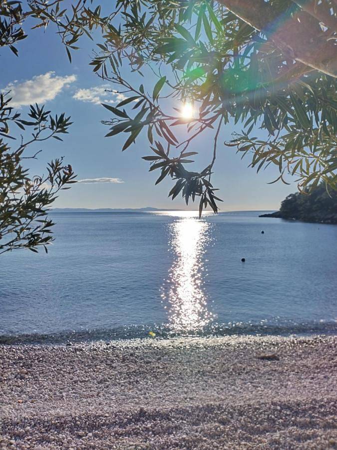 Secluded getaway tiny home - Skozanje bay, island Hvar in Gdinj, Hvar