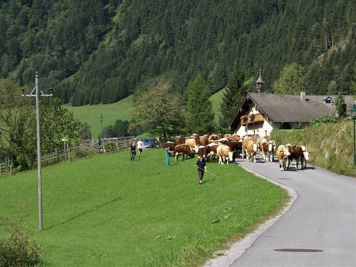 Ferienhaus für 14 Personen, mit Terrasse, mit Haustier in Rauris - 4