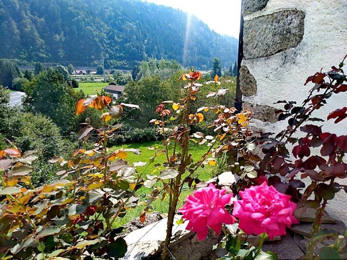 Gîte pour 5 personnes, avec vue et jardin, animaux acceptés à Ovaro