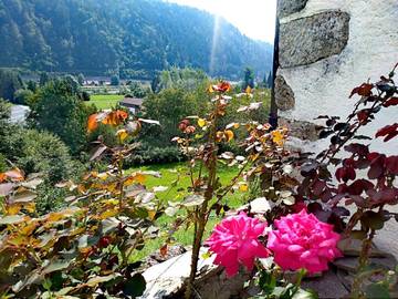 Gîte pour 5 personnes, avec jardin et vue, animaux acceptés à Ovaro