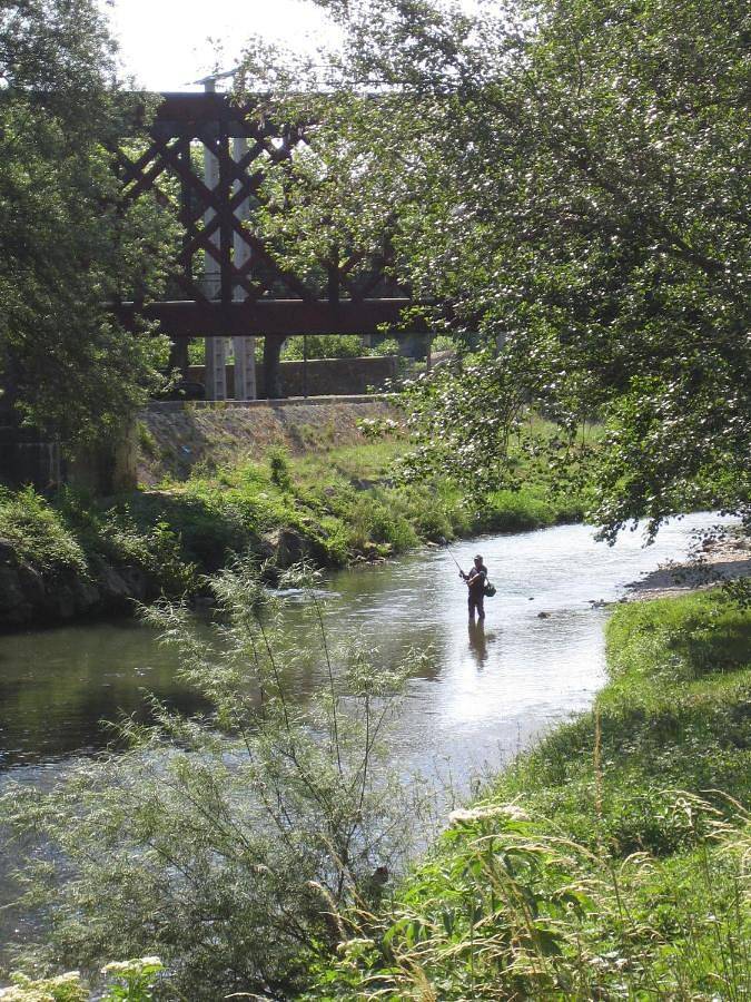 Hôtel pour 3 personnes, avec vue et balcon à Chalabre - 4